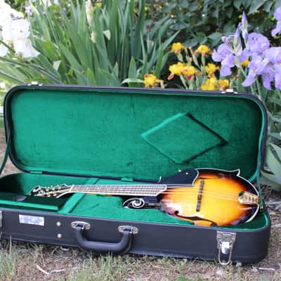 Washburn M3SWK Bluegrass F-Style Mandolin with Hardshell Case- Sunburst image 16