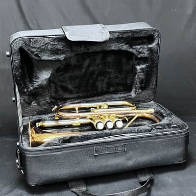 SCHILLER Shepards Crook Pro Elite Cornet in Brushed Rose 2019 image 21