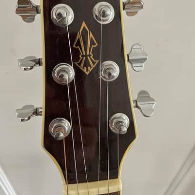 Wechter Nashville Special Elite NV-5413CE Acoustic Guitar Plek'd Fishman OHSC image 5