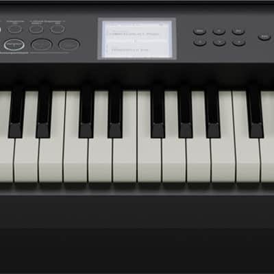 Roland FP-E50-BK 88-Key Entertainment Digital Arranger Piano - Black - DEMO image 2