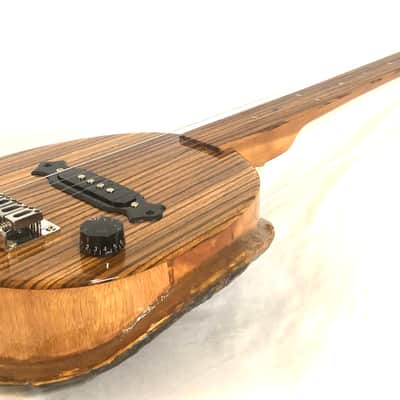 4 string Turtle shell slide guitar image 6