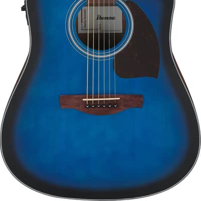 Ibanez EW20ASENT1202 With Hard Case | Reverb Canada