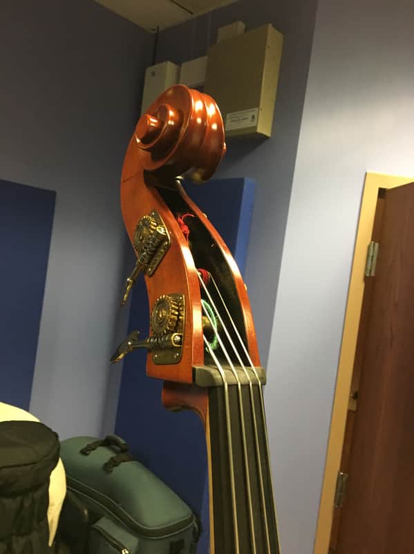 David Gage Upright Bass Czech Ease Road Bass Carved C1 Standard