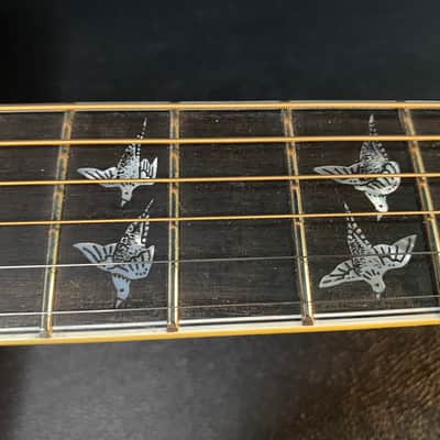 NEW! Gibson Custom Shop Dove - Doves In Flight - Made 2 Measure - Custom Ordered in Autumnburst Finish - Authorized Dealer - 5 lbs - G06614 image 14