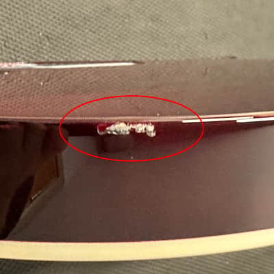 LTD EC-1000 - See Thru Black Cherry #20178 (Factory Demonstration Model) image 10