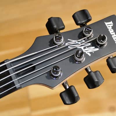 IBANEZ GWB35 BKF Black Flat / Gary Willis Signature / 5-String Fretless Bass / GWB35-BKF image 10