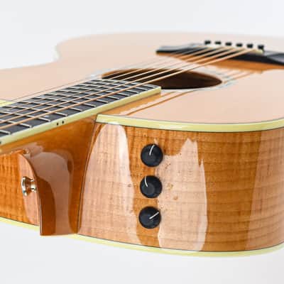 Taylor GS6 2009 image 10
