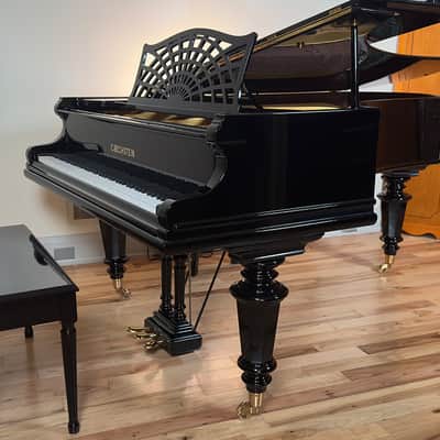 Immagine Bechstein V 1903 - Black Polish - 14