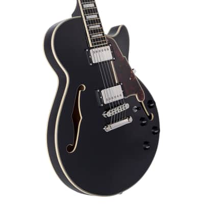 D'Angelico Premier SS Black Flake image 6