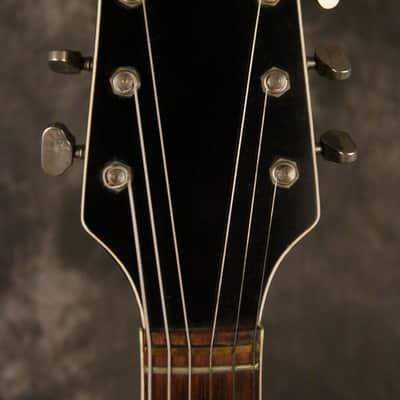 Immagine Ampeg/Burns TR2 solid carved top/back 1963-64 Sunburst - 3