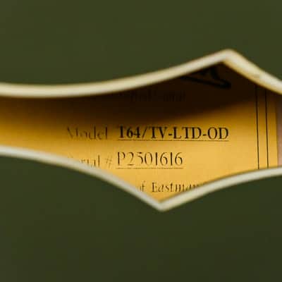 Eastman T64/ Truetone Vintage Limited Edition- Olive Drab 2026 (P2501616) image 15