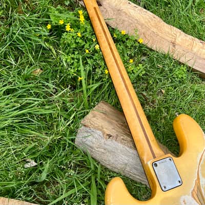 Vintage Fender Jazz Bass 1973 - Tuxedo Appointments Olympic White w Black Guard, Black Binding and Blocks image 22