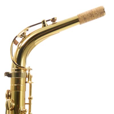 Eastman Model EAS650 'Rue Saint-Georges' Alto Saxophone SN A2440458 RENEWED image 11