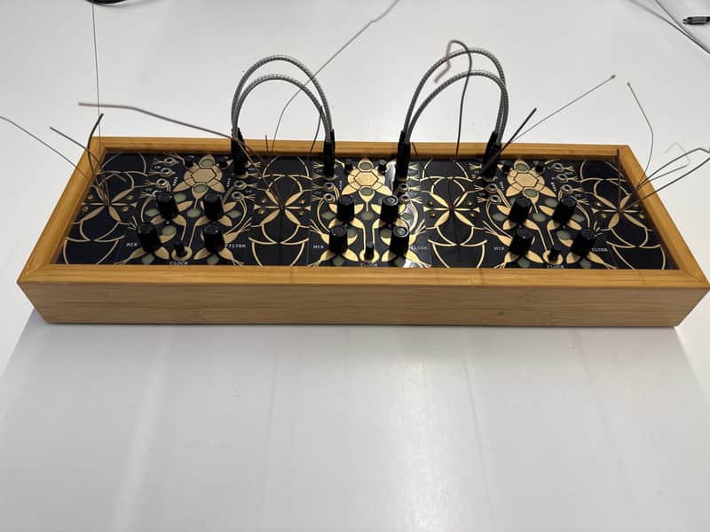 Folktek Resonant Garden 2018 - Black/ Wood image 1