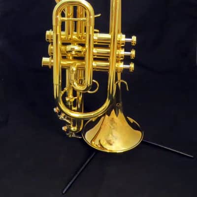 *Final Price* CarolBrass CCR-3880-GSS-Bb Lacquer Cornet Demo Stock Like New image 1