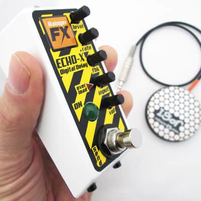 Rainger FX ECHO-X digital delay (& Igor) image 5