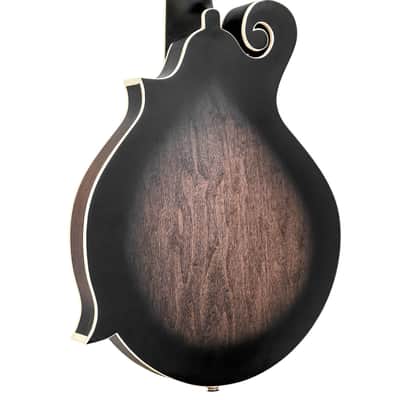 Gold Tone F-6: F-style Mando-Guitar with Pickup and Case image 8