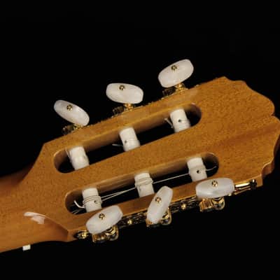Takamine TH90 Hirade (#973) image 12