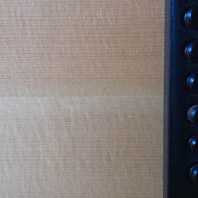 Eastman E100SS-LTD 2019 image 16