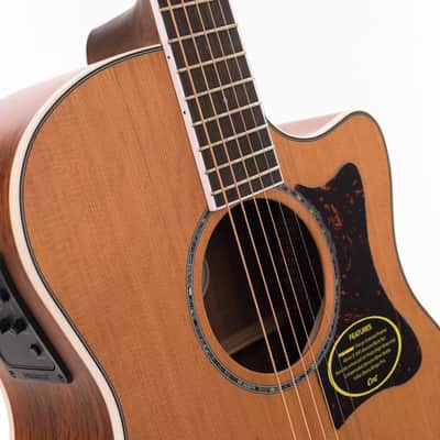 Cort GA5F-BW NS Grand Regal Series Solid Red Cedar/Australian Blackwood Grand Auditorium Cutaway with Electronics 2026Natural Satin 2062gr image 8