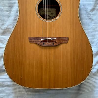 2004 Takamine AN10 image 1