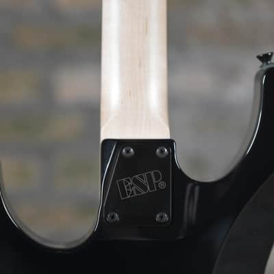 ESP Signature Series Guitars George Lynch Signature - Black w/ Skulls &amp; Snakes Graphic (PRE ORDER) image 12