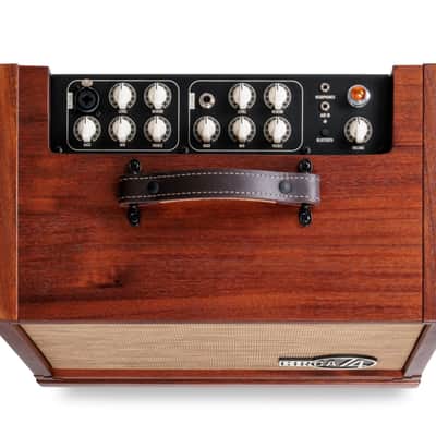 Taylor Circa 74 Acoustic/Vocal Amplifier w/Amp Stand image 4