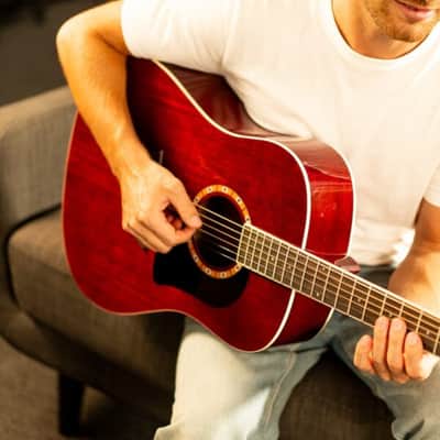 Washburn WD100DL Dreadnought Mahogany Acoustic Guitar w/ Gigbag (WD100DLTWRK-A-U) image 10