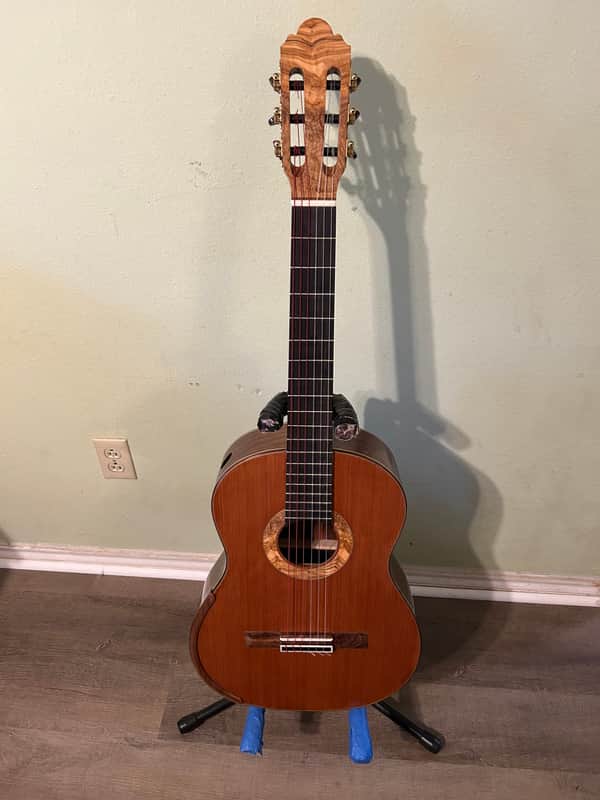 Redman 630 Small Scale Guitar Small Scale Guitar 2024 - French Polish image 1