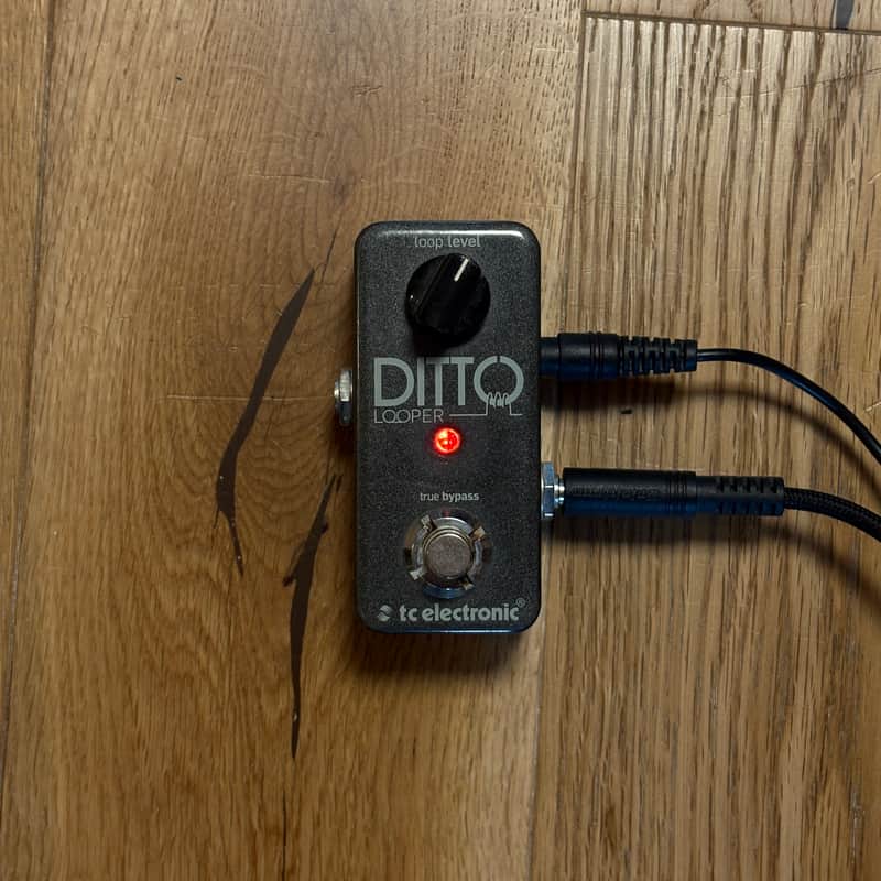 TC Electronic Ditto Looper 2013 - Present - Black image 1