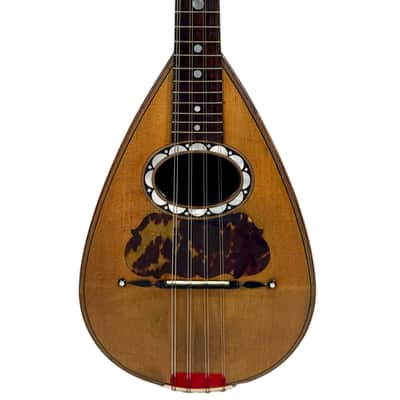 Pasquale Vinaccia Mandolin from 1883 image 9