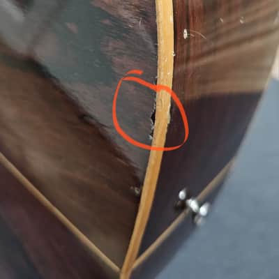 Giannini AWS-680 12 string Acoustic Guitar image 13
