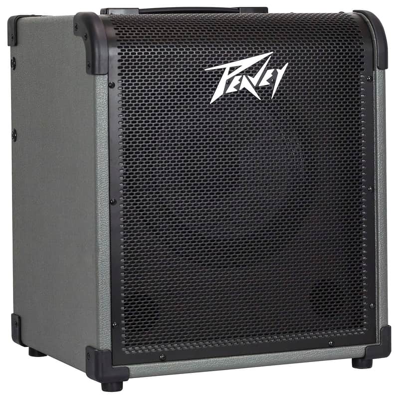 Peavey MAX 100 100-Watt 1x10" Bass Combo image 1