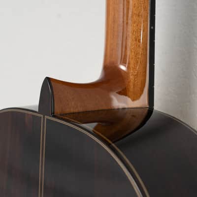 Cordoba C10 Classical Guitar image 11