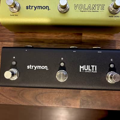 Strymon Volante Delay Pedal w/ MultiSwitch Plus image 3