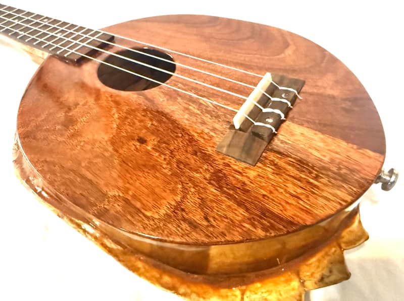 Turtle Shell Tenor Ukulele image 1
