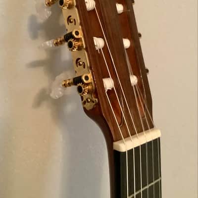 Yamaha GC-5 1979, Hideyuki Ezaki image 6