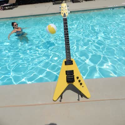 Hamer Vector 1981 Yellow V OHSC Tags image 1