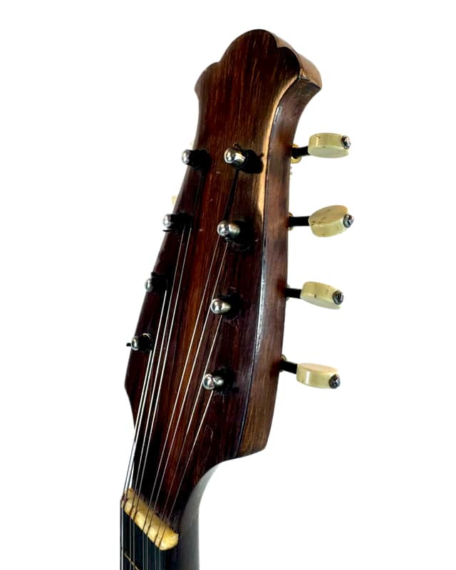 Neapolitan Mandolin G. Kasermann Style 1920's | Reverb