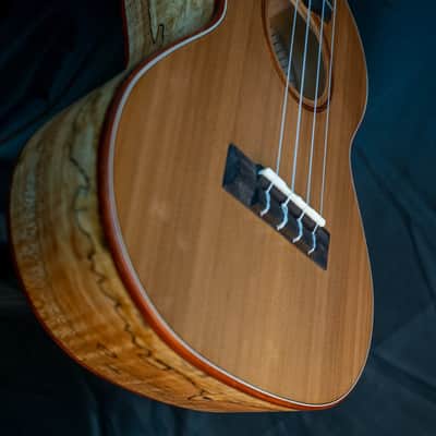 Cordoba 24T cedar top spalted maple tenor ukulele image 10