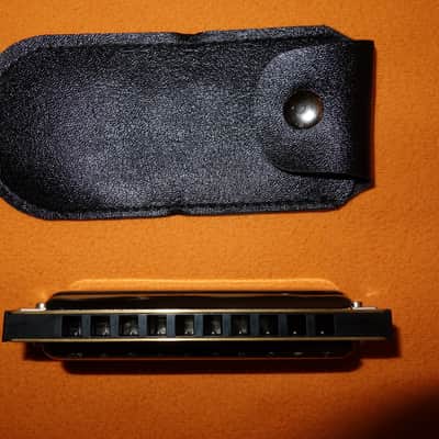 new BIG RIVER HARMONICA KEY E w GIGBAG Made Germany country rock blues folk world harp MS SERIES image 4