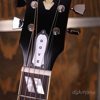 Epiphone 1963 Dove Reissue image 8