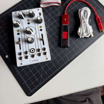 Sleepy Circuits Hypno CM3+ Video Synthesizer 2022 image 4