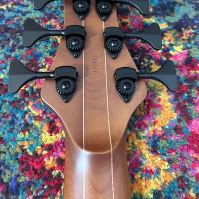 Maruszczyk Frog 6a Fretless custom - Black red veins image 10