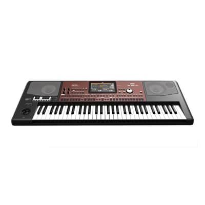 Korg Pa700 Oriental image 5