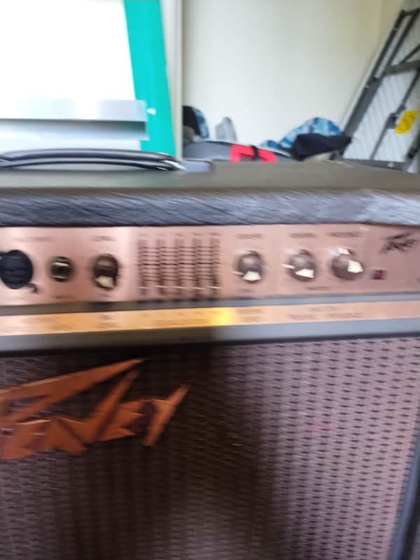 Peavey acoustic Ecoustic112 image 1