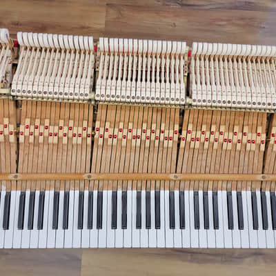Steinway & Sons Concert Grand Piano image 19