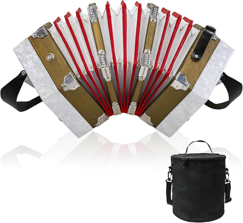 20-key accordion for adults, professional accordion for beginners, adjustable hand straps, instrument accessories