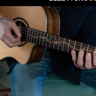 Washburn BTSC40SCE Bella Tono Studio Acoustic Electric Guitar Cutaway image 17
