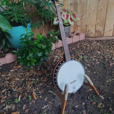 Vega Senator 1920s  - Conversion to 5 string image 2
